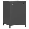 Tables de chevet 2 pcs Anthracite 35x35x51 cm Acier 