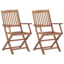 Chaises pliables de jardin lot de 2 avec coussins Bois d'acacia 