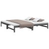 Lit coulissant sans matelas gris 2x(100x200) cm 