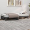 Lit coulissant sans matelas gris 2x(100x200) cm 