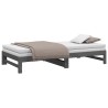 Lit coulissant sans matelas gris 2x(100x200) cm 