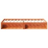 Lit de jour sans matelas cire marron 90x200 cm bois pin massif 