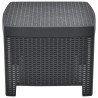 Salon de jardin 3 pcs Plastique Anthracite 
