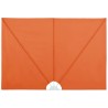 Auvent latéral pliable de terrasse Terre cuite 300 x 150 cm  