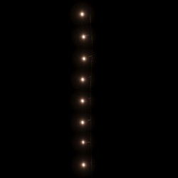 Guirlande LED avec 300 LED Blanc chaud 30 m PVC 