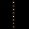 Guirlande LED avec 300 LED Blanc chaud 30 m PVC 