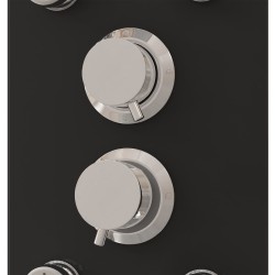 Panneau de douche Verre 25x47,5x130 cm Noir 