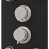 Panneau de douche Verre 25x47,5x130 cm Noir 