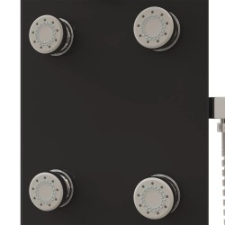 Panneau de douche Verre 25x47,5x130 cm Noir 