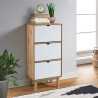 Armoire à chaussures OTTA et 3 tiroirs Marron et blanc Bois pin 