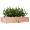 Jardinière 110x60x23 cm bois massif de douglas 