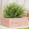 Jardinière 60x60x23 cm bois massif douglas 