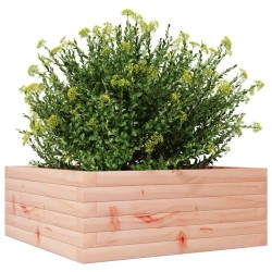 Jardinière 60x60x23 cm bois massif douglas 