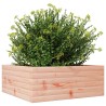 Jardinière 60x60x23 cm bois massif douglas 