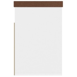 Banc à chaussures et coussin Blanc chêne sonoma Bois ingénierie 