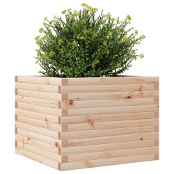 Jardinière 60x60x46 cm bois de pin massif 
