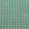 Couverture de remplacement serre (6,5025 m²) 255x255x194cm Vert 