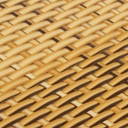 Paravent de balcon marron clair 500x100 cm résine tressée 