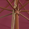 Parasol de jardin avec mât en bois rouge bordeaux 400x273 cm 