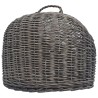 Cage de transport pour chats Gris 50x42x40 cm Saule naturel 