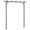 Pergola de jardin Gris 200x40x205 cm Bois de pin imprégné 