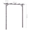 Pergola de jardin Gris 200x40x205 cm Bois de pin imprégné 