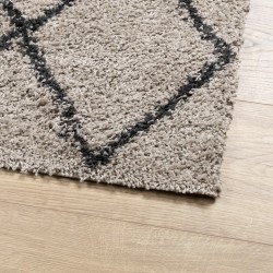 Tapis shaggy à poils longs moderne beige anthracite 240x340 cm 