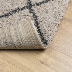 Tapis shaggy à poils longs moderne beige anthracite 240x340 cm 