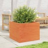 Jardinière cire marron 60x60x46 cm bois de pin massif 