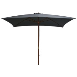 Parasol d'extérieur avec mât en bois 200x300 cm anthracite 