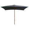 Parasol d'extérieur avec mât en bois 200x300 cm anthracite 