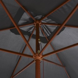 Parasol d'extérieur avec mât en bois 200x300 cm anthracite 