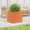 Jardinière cire marron 50x50x46 cm bois de pin massif 