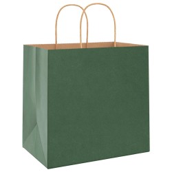 Sacs en papier 250 pcs avec poignées vert 26x17x25 cm 