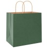 Sacs en papier 250 pcs avec poignées vert 26x17x25 cm 