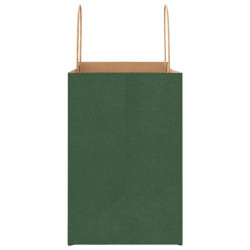 Sacs en papier 250 pcs avec poignées vert 26x17x25 cm 