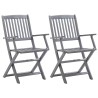 Chaises pliables d'extérieur lot de 2 et coussins Bois d'acacia 