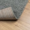 Tapis shaggy PAMPLONA poils longs moderne vert 200x200 cm 