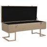 Banc avec compartiment de rangement 105 cm Beige Velours 