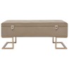Banc avec compartiment de rangement 105 cm Beige Velours 