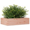 Jardinière 90x60x23 cm bois massif de douglas 