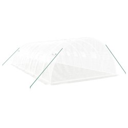 Serre avec cadre en acier blanc 32 m² 8x4x2 m 