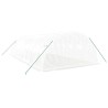 Serre avec cadre en acier blanc 32 m² 8x4x2 m 
