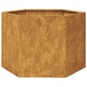 Jardinière hexagone 69x60x45 cm acier patinable 