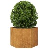 Jardinière hexagone 69x60x45 cm acier patinable 