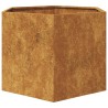 Jardinière hexagone 69x60x45 cm acier patinable 