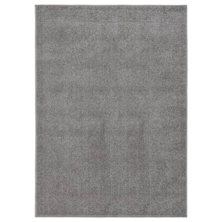 Tapis à poils courts 140x200 cm Gris 