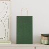 Sacs en papier 250 pcs avec poignées vert 21x11x36 cm 