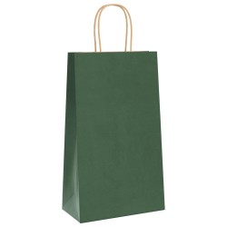 Sacs en papier 250 pcs avec poignées vert 21x11x36 cm 