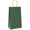 Sacs en papier 250 pcs avec poignées vert 21x11x36 cm 